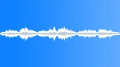 Crowds Norway Church Religious Choir Lutheral Singing Footsteps Sharp Pew MovesSound Effect