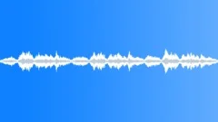 Crowds Norway Church Religious Choir Lutheral Singing Occasional Metallic ClankSound Effect