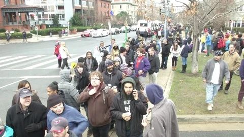 Crowds at Pro-Marijuana Inaugural Protest 動画素材 71806213