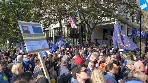 Crowds of protesters marching against Brexit deal Stock Footage 118277242