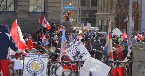 Crowds of protesters at Ottawa Protest dancing to music Stock-Footage 170321817