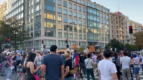Crowds sing and dance in BLM Plaza celebrating Joe Biden's win, DC Stock Footage 156415028