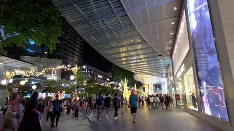 Crowds stroll along Orchard Road in Singapore during the Christmas season Stock Footage 339256248