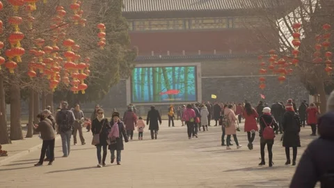 Crowds Stroll Under Red Lanterns at Temple of Heaven Pathway in Beijing, China Stock Footage 345832990