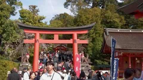 Crowds of Tourists Walking Through a Large Red Torii Gate in Kyoto Stock Footage 337770746