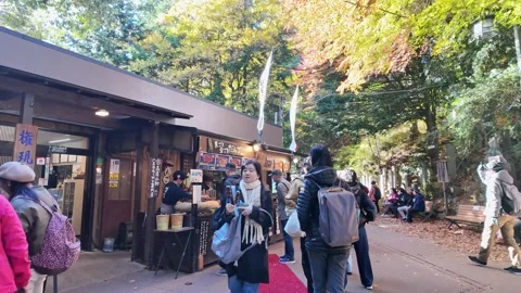 Crowds visit a roadside shop in a forest during autumn. Stock Footage 346012193