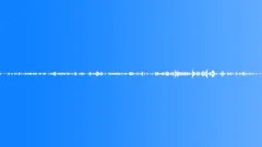 Crowds Wedding Crowd Hallway Wood Walls Carpet Wedding Adults Distant Voices Re Sound Effect