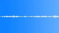 Crowds Wedding Voices Active Excited Happy Medium Close Walk By Young Adults Dr Sound Effect