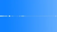 Crowds Wedding Voices Medium Close Hallway Wood Wall Carpet BG Distant Loud CroSound Effect