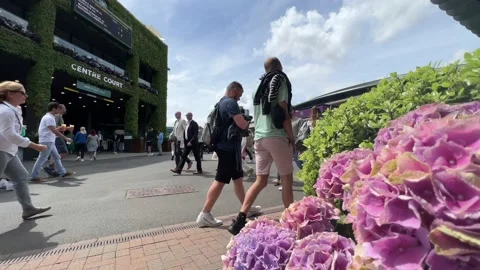 Crowds at Wimbledon tennis Stock Footage 200770593
