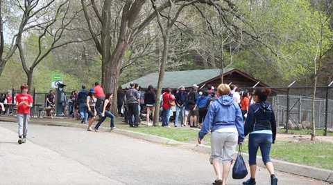 Crowds At The Zoo Stock Footage 38617355