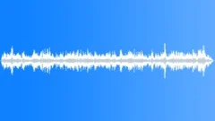 CROWD,TALKINGSound Effect