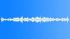 CROWD,TALKINGSound Effect