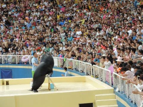 Crowed show Foto stock