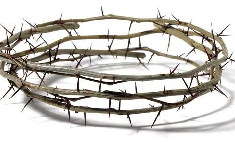 A crown of branches with sharp long thorns Stock Photos