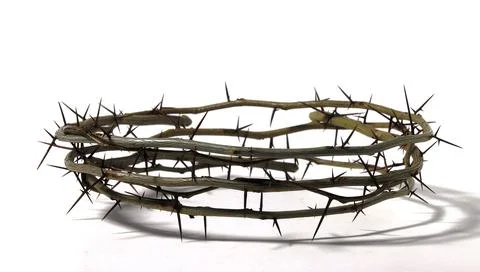 A crown of branches with sharp long thorns Stock Photos