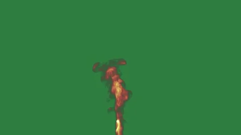 Crown Burning With Fire On Green Screen Chroma Key Background Stock Footage 338015688