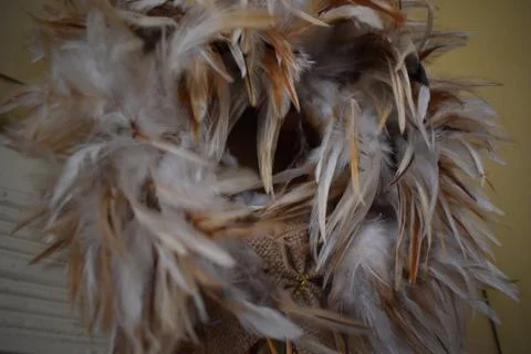 A crown of feathers Foto stock