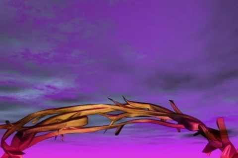 Crown Stock Footage 335003