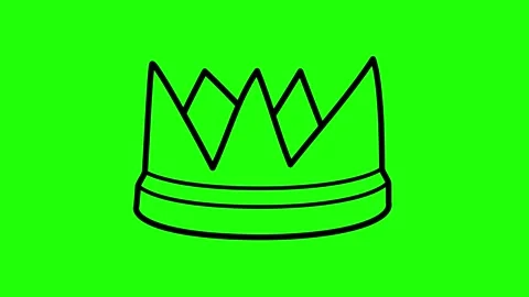 Crown Hand Drawn Line Shaky Animation on Green Background Stock Footage 296194335