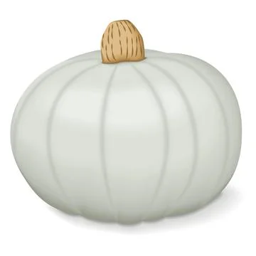 Crown Prince Squash. Winter squash. Ilustración de archivo