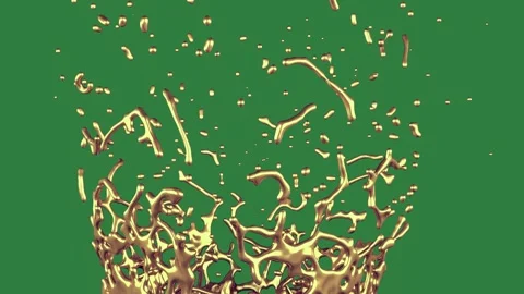 Crown Professional Isolated Green Screen Stock Video Stock-Footage 338017805