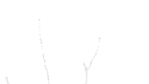 Crown splash of transparent  pure clear water Stock Footage 74576066