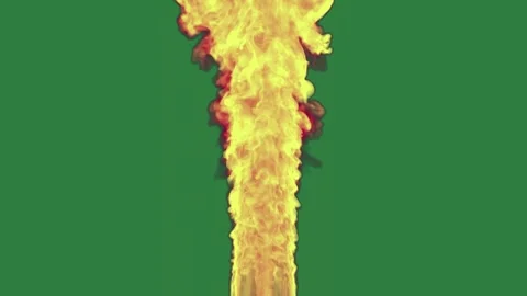 Crown Standing On Chroma Key For Compositing Stock-Footage 338014308
