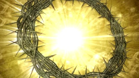 Crown of Thorns and Lights Stock Footage 317841193