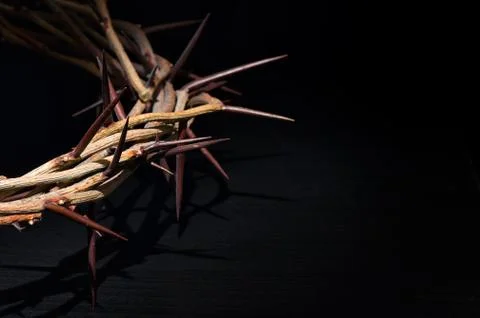 Crown Of Thorns On A Black Background Stock Photos
