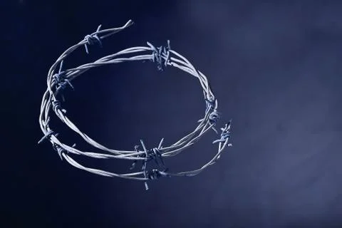Crown of Thorns of the Blue Background Stock Photos