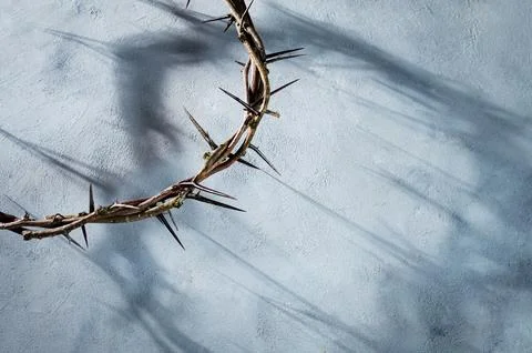 Crown of thorns casting a distinct shadow a white background, creating a Stock Photos