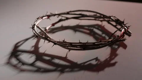 Crown of thorns casting shadow on white background Vidéo 285399971