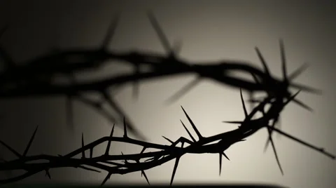 Crown of thorns. Contour Stock Footage 62647532
