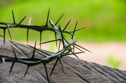 Crown of thorns with customizable space for the and Christian quotes. Chris.. Stock Photos