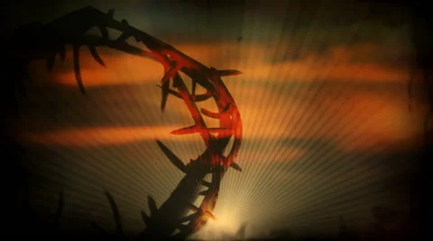 Crown of Thorns Stock Footage 50719107