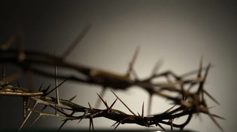 Crown of thorns Stock Footage 62652441