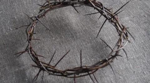 Crown of thorns Stock Footage 66774327