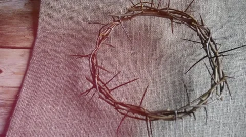 Crown of thorns Stock Footage 66774338