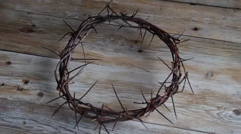 Crown of thorns Stock Footage 67186532