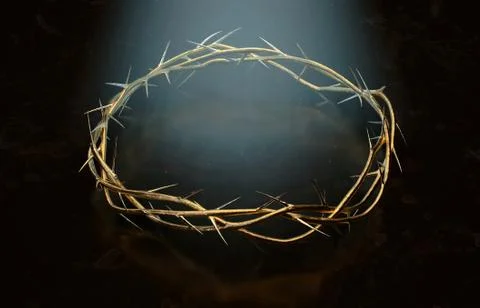Crown Of Thorns Stock Illustration