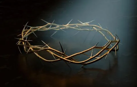 Crown Of Thorns Stock Illustration