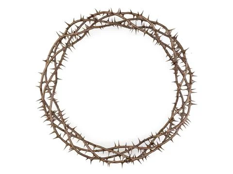 Crown Of Thorns Stock Illustration