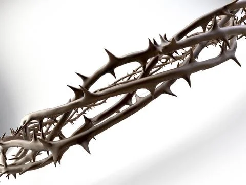 Crown Of Thorns Stock Illustration
