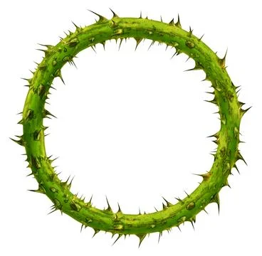 Crown Of Thorns Stock Illustration