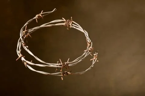 Crown of thorns Stock Photos
