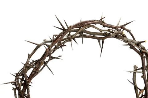 Crown of thorns Stock Photos