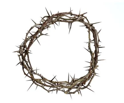 Crown of thorns Stock Photos