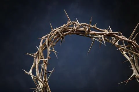 Crown of thorns Foto stock