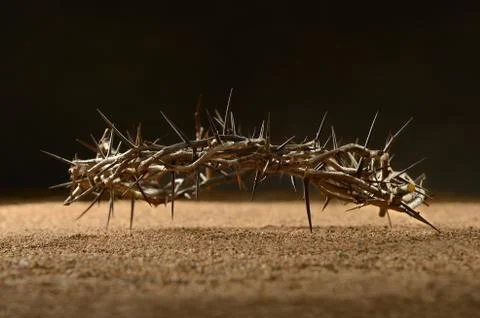 Crown of thorns Stock Photos
